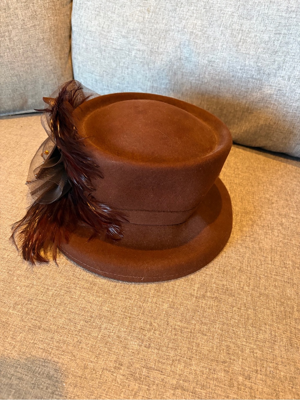 Brown Felt Feather-Trim Women's Hat